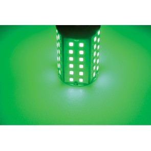 Talamex Ledlamp led60 10-30V BAY15D green